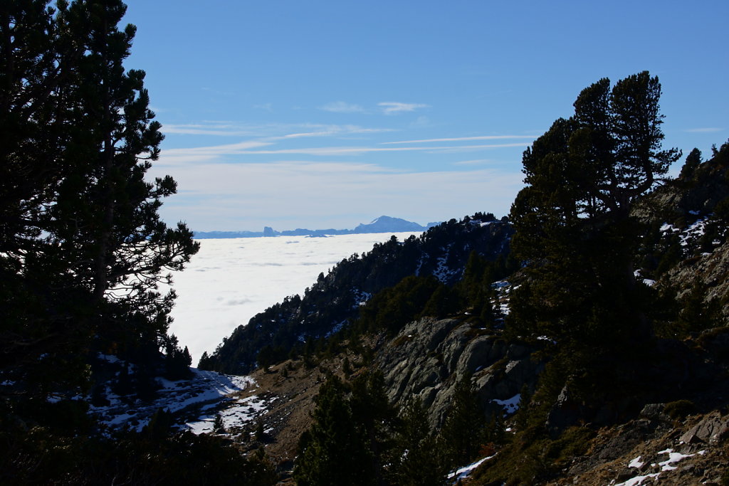 DSC02887.JPG
