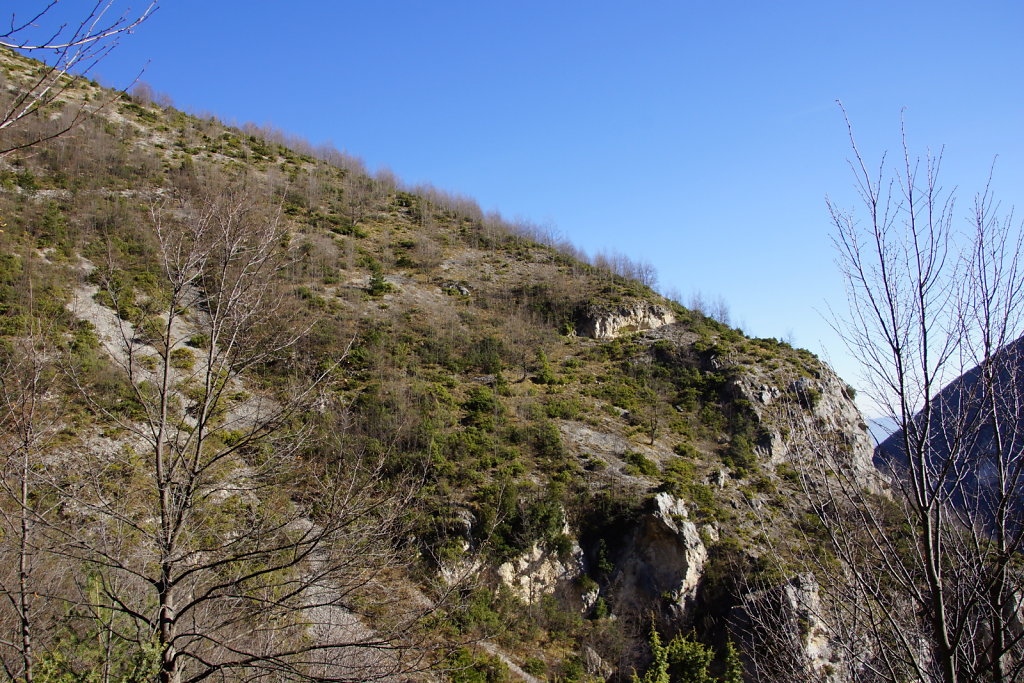 DSC03445.JPG